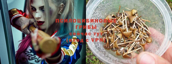 круглые Аркадак