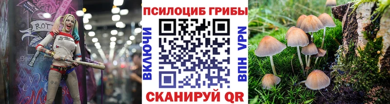 Псилоцибиновые грибы GOLDEN TEACHER  Калязин 